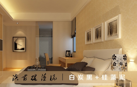 白炭黑+硅藻泥(图5)