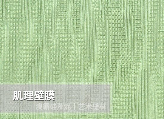 肌理壁膜(图3)