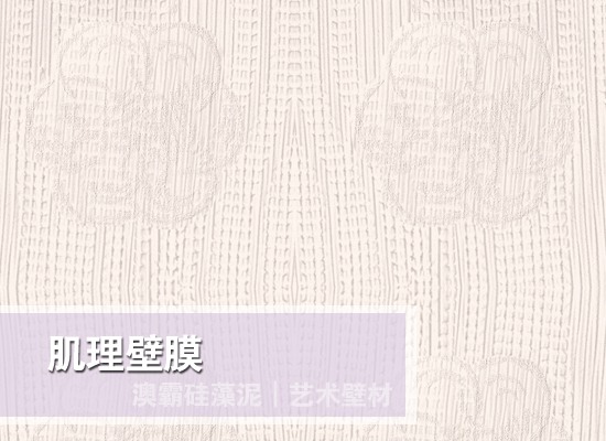肌理壁膜(图5)