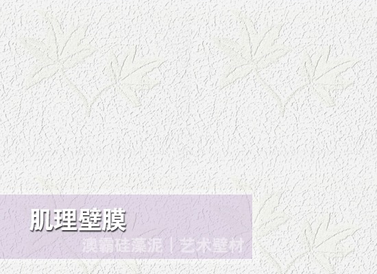 肌理壁膜(图2)