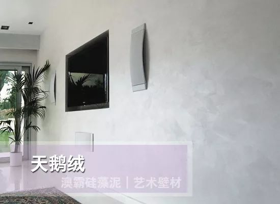 ABA ·天鹅绒-柔美中透着典雅(图5)