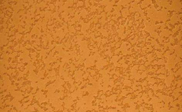 壁灵宝硅藻泥为什么这么火？