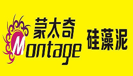 硅藻泥产品种类丰富，十大品牌项目推荐指南