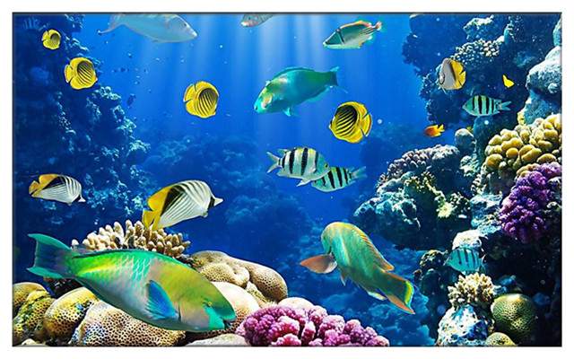 空气净化器不能有效改善空气1