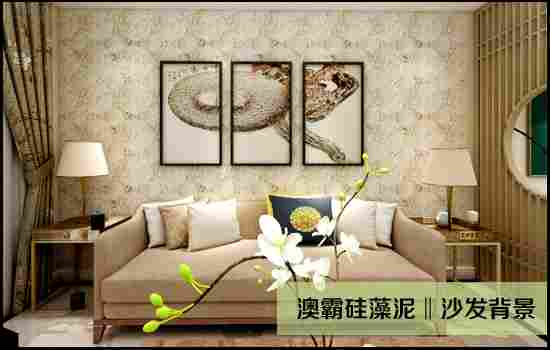 【澳霸硅藻泥】客厅沙发背景搭配技巧