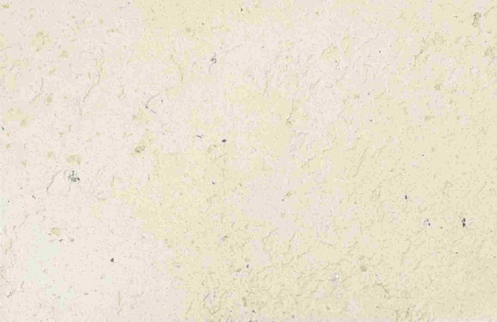 莱姆石艺术涂料：让家焕发自然之美(图3)