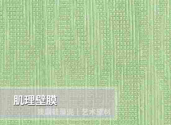 肌理壁膜(图3)