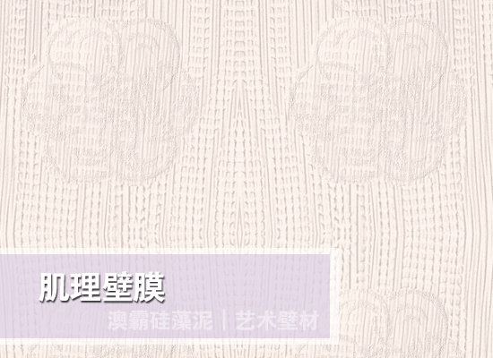 肌理壁膜(图5)